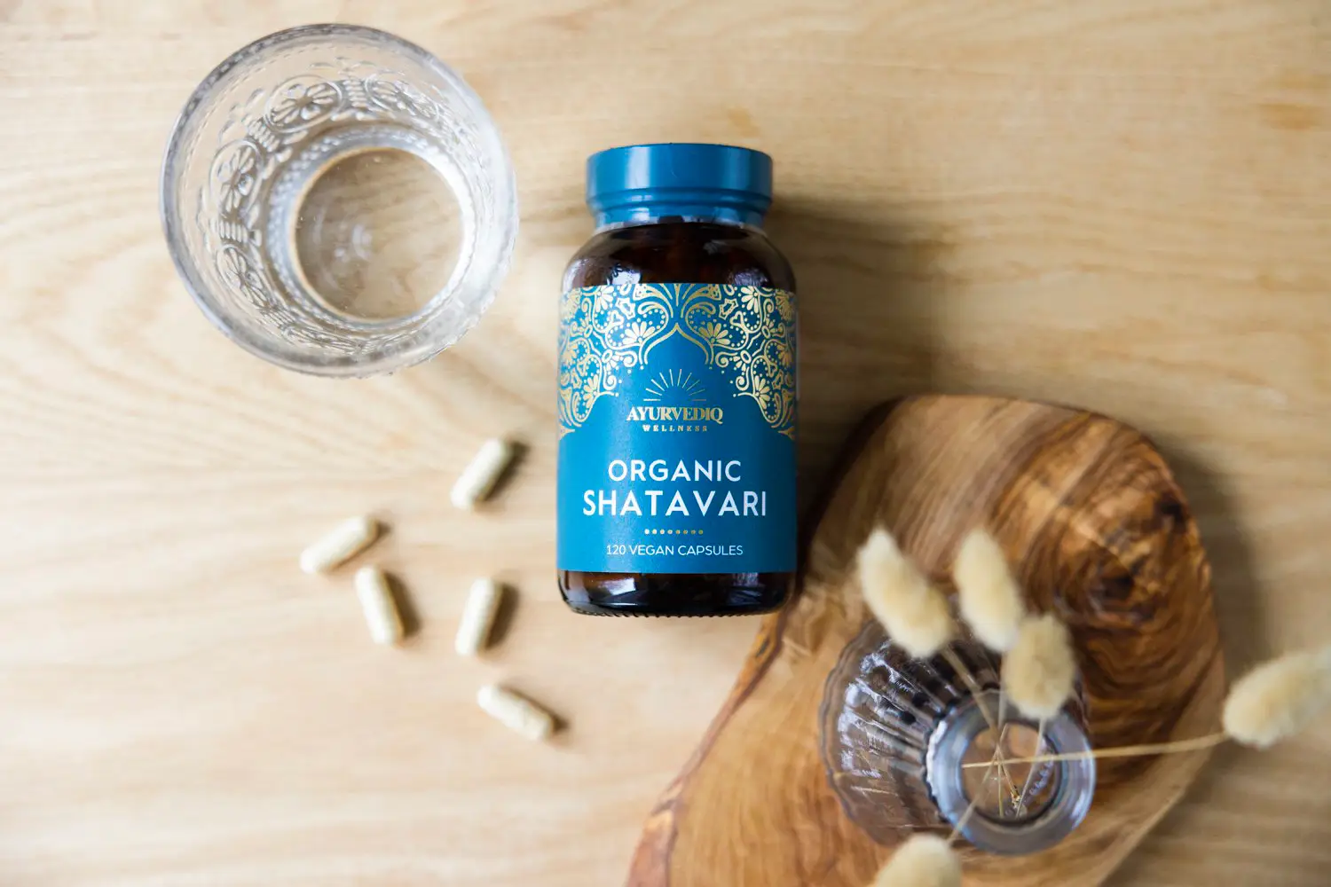 shatavari capsules